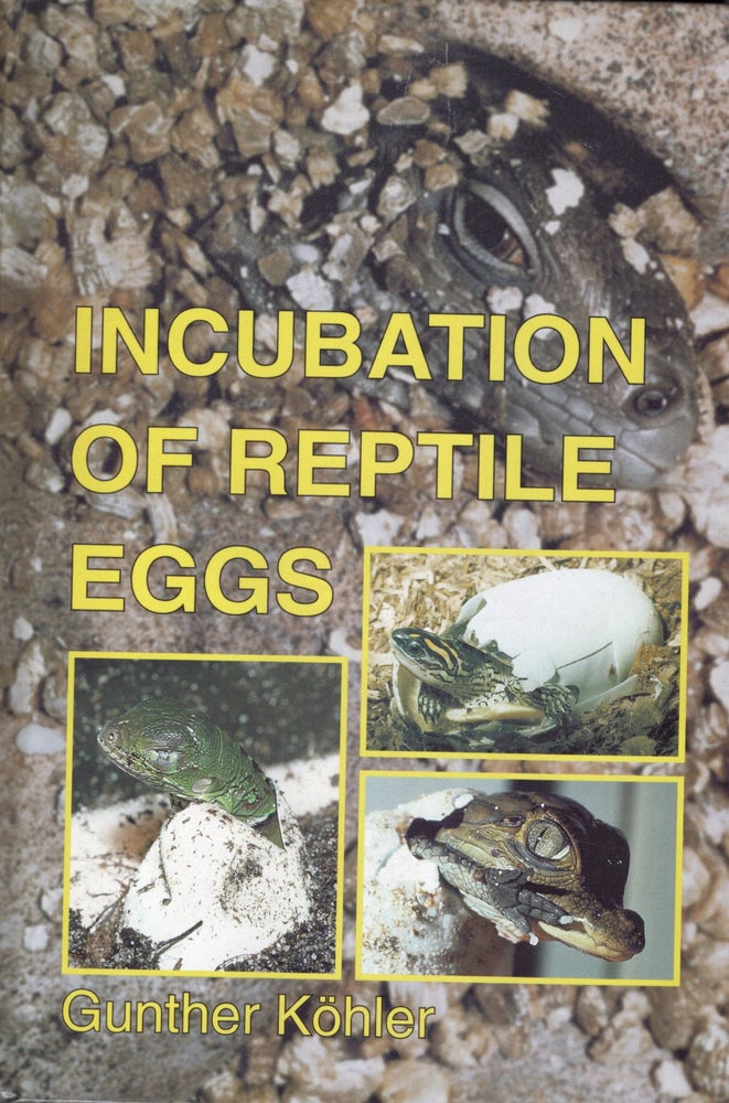 Item #57479 Incubation of Reptile Eggs: Basics, Guidelines, Experiences. Gunther Kohler.